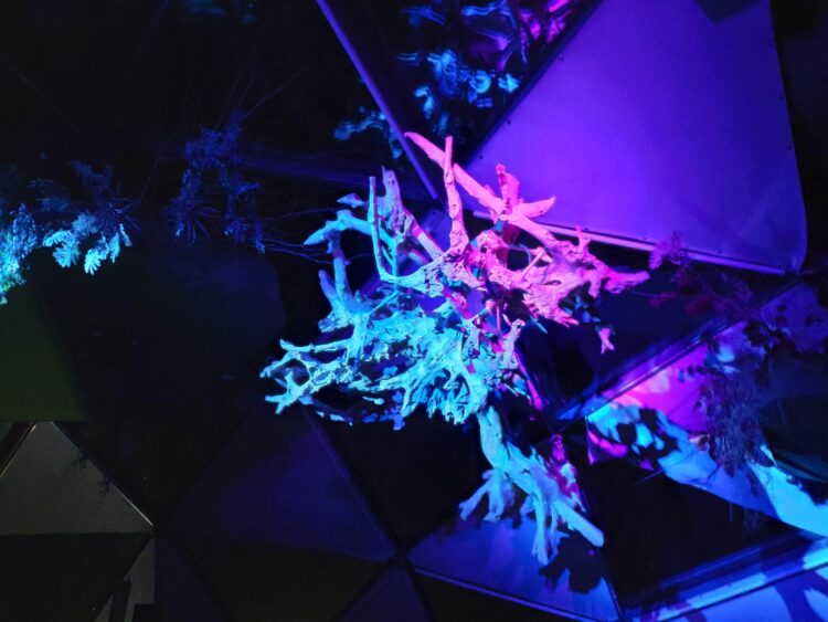 Ovnew Restaurant hesperia 7