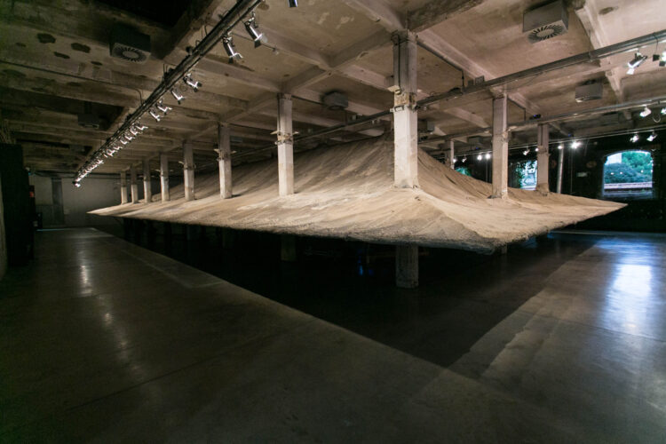 50586275396 cc1d683cc2 o