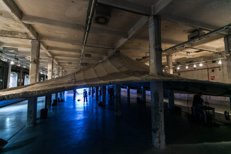 50586396612 d5c4bfa09e o