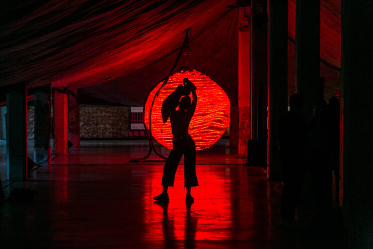 Selection 50586275111 fd2052a302 o